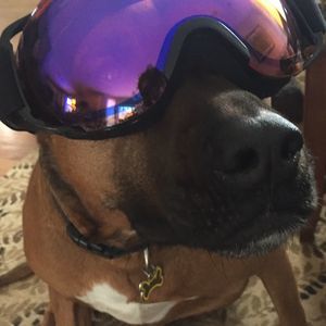 Meet your Posher, Oliver